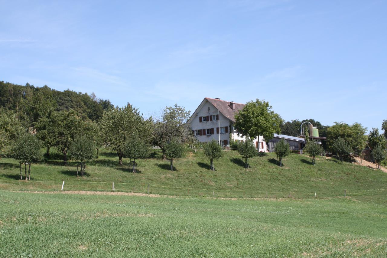 Bnb Im Waldhof Bachenbulach Buitenkant foto