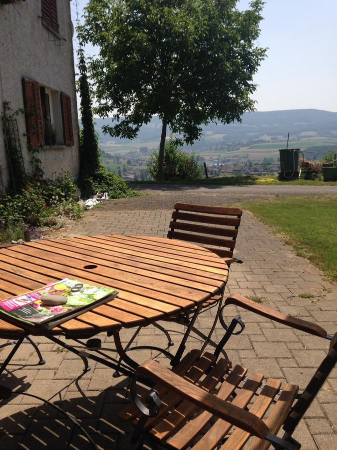 Bnb Im Waldhof Bachenbulach Buitenkant foto